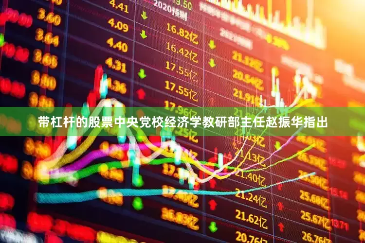 带杠杆的股票中央党校经济学教研部主任赵振华指出