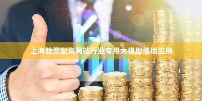 上海股票配资网站行业专用大模型落地应用